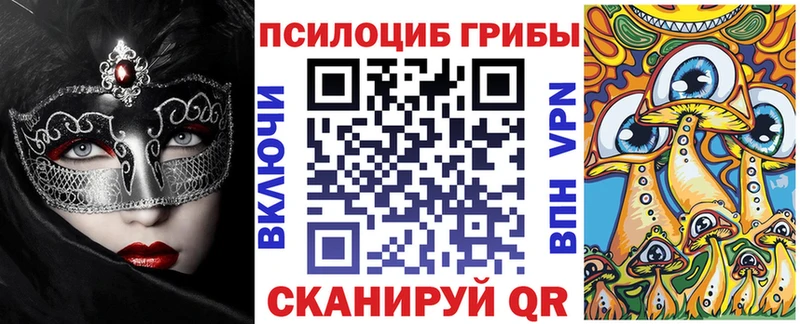купить наркотики цена  Медвежьегорск  Псилоцибиновые грибы прущие грибы 